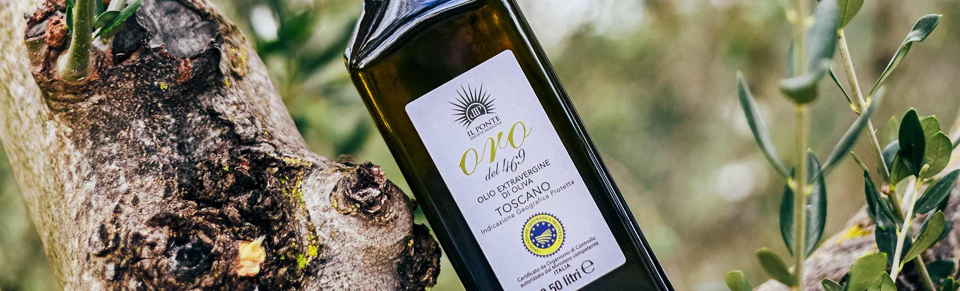 Dettaglio di una bottiglia di olio ORO IGP  di Agricola Il Ponte - Capalbio