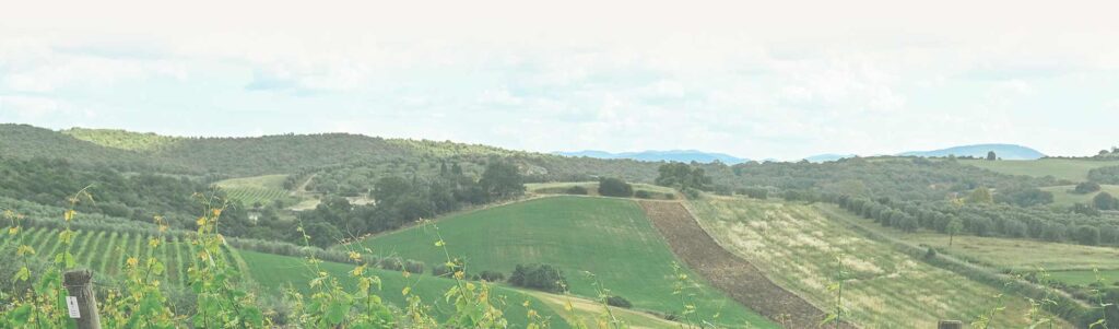 Un'ampia veduta panoramica dei terreni nei dintorni dela tenuta di Agricola Il Ponte.